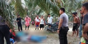 Karyawan Bank di Bungo Ditemukan Sudah Tak Bernyawa di Kebun Sawit