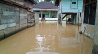 Sungai Batang Bungo dan Batang Leban Meluap, Dua Desa di Bungo Terendam Banjir