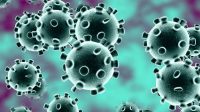 Ini Kata Kadis Kesehatan Muaro Jambi Yes Isman Terkait Virus Corona