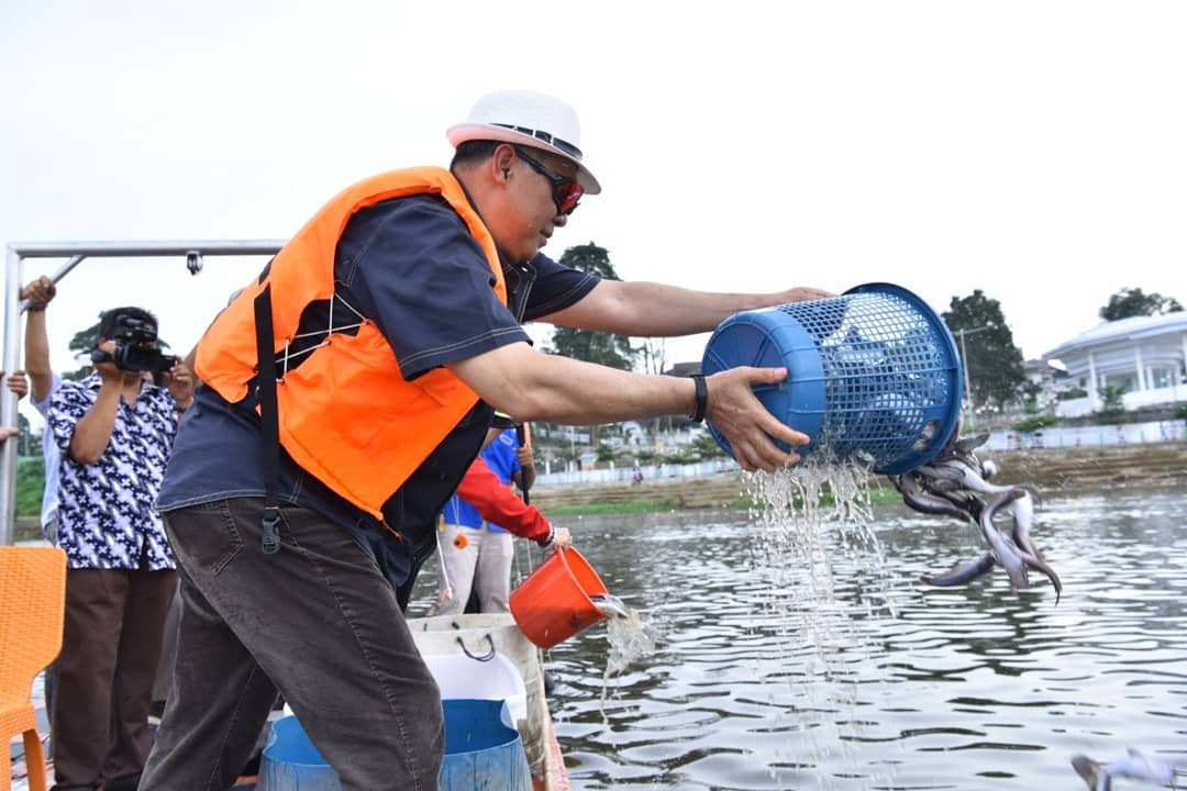 Ritual Fangshen di Tahun Baru Imlek, Fasha Lepas Bibit Ikan