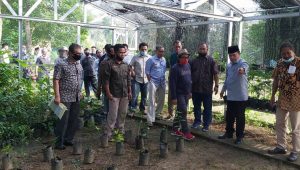 IMG-20200726-WA0073 IMG 20200726 WA0073