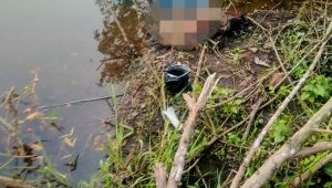 IMG_20200820_223206 IMG 20200820 223206