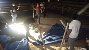 IMG_20200913_232951 IMG 20200913 232951