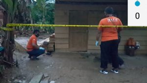 IMG_20200920_183338 IMG 20200920 183338