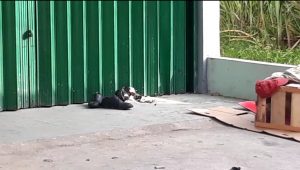 IMG_20201014_163641 IMG 20201014 163641