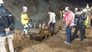 IMG_20201016_174525 IMG 20201016 174525