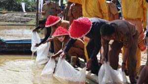 WhatsApp Image 2020 10 15 at 08.48.02