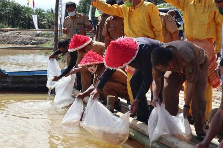 WhatsApp Image 2020 10 15 at 08.48.02