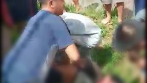 PicPlus 1604825452780