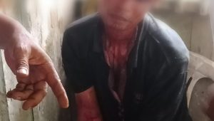 PicPlus 1605062439999