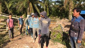 WhatsApp Image 2020 11 19 at 14.24.40