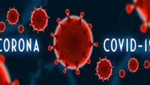 download (1) download 1 1