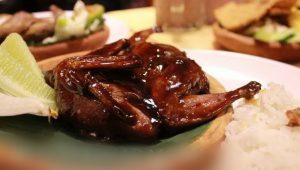 daging puyuh