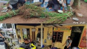 IMG 20210119 211754 768x1072 1