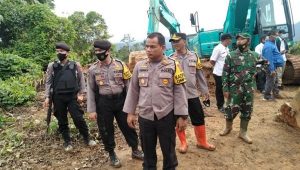 IMG 20210203 205250 768x549 1