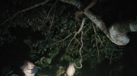 IMG 20210218 121905