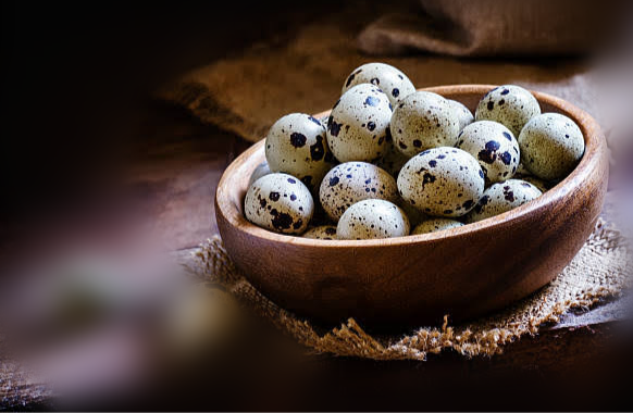 8 Manfaat Telur Puyuh