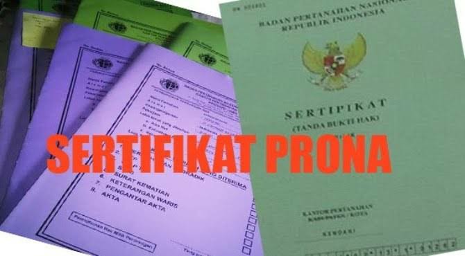 seruifikat prona