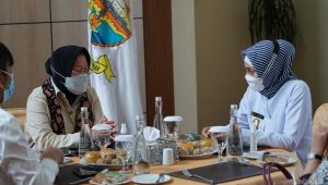 Pj Gubernur Jambi Sambut Mensos dan Dirjen Dukcapil