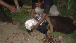 FB_IMG_1620594921113 FB IMG 1620594921113