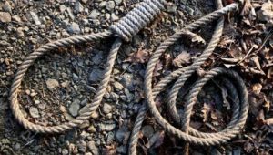 IMG_20210517_202635 IMG 20210517 202635