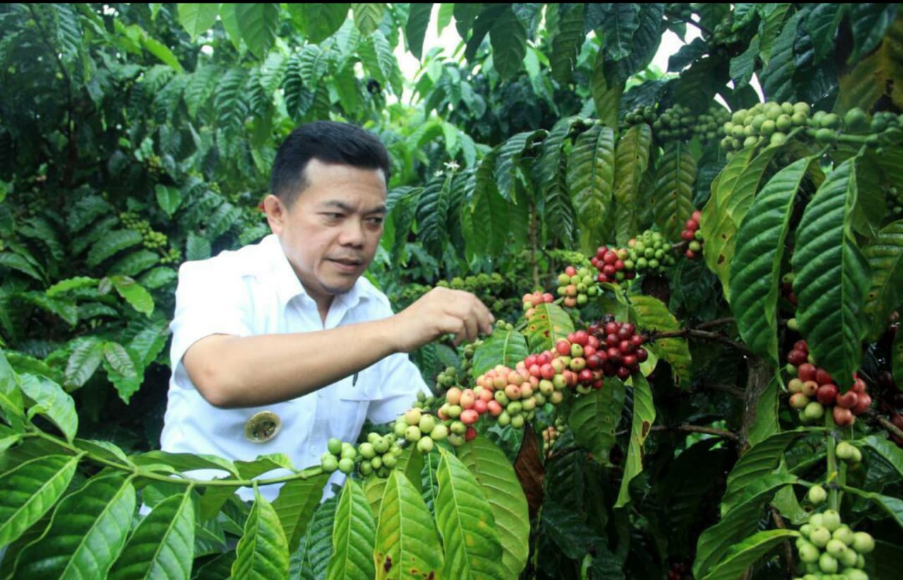 bupati-alharis bupati alharis