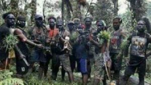 kkb-papua kkb papua