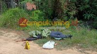 Mayat Tergeletak Disisi Jalan, Diduga Korban Dibunuh