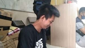 pemuda-bertato-mewek pemuda bertato mewek