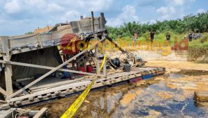 lampukuning_id_ lampukuning id 2