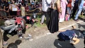 lampukuning_id_ lampukuning id