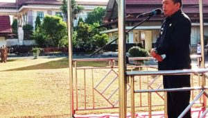 lampukuning_id_alharis lampukuning id alharis