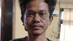 lampukuning_id_pelaku lampukuning id pelaku