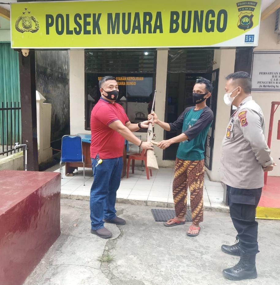 lampukuning id senpira