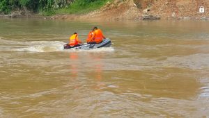 lampukuning_id_tenggelam lampukuning id tenggelam