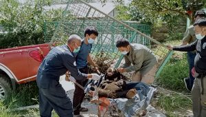 IMG-20210727-WA0002 IMG 20210727 WA0002