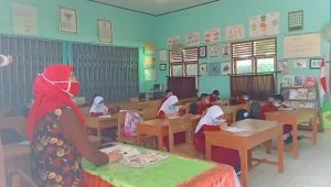 VID-20210701-WA0027.mp4_snapshot_01.48.537 VID 20210701 WA0027.mp4 snapshot 01.48.537