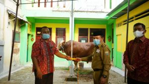 foto-alharis-serahkan-hewan-kurban foto alharis serahkan hewan kurban