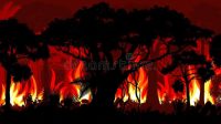 foto-ilustrasiiiiiiiii Masuki Kemarau, Sehari Terpantau 39 Hot Spot