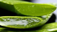 Ini Lho Manfaat Air Lemon Dicampur Lidah Buaya, Dahsyat