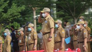 lampukuning id gubernur jambi 3