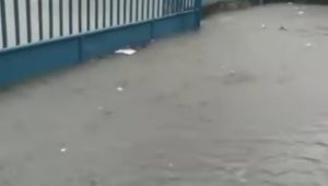 lampukuning_id-kota-jambi-banjir lampukuning id kota jambi banjir