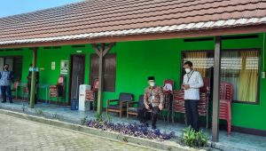 lampukuning_id_kota-jambi lampukuning id kota jambi