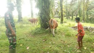 lampukuning_id_sad lampukuning id sad