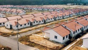 IMG_20210810_144943 IMG 20210810 144943