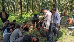 WhatsApp Image 2021-08-17 at 13.04.55 WhatsApp Image 2021 08 17 at 13.04.55