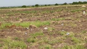 foto-tanah-kosong foto tanah kosong