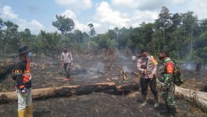 lampukuning_id_babinsa lampukuning id babinsa