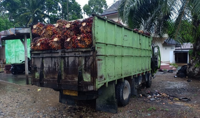 lampukuning id lakalantas bungo 1 1