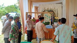 lampukuning_id_merangin lampukuning id merangin